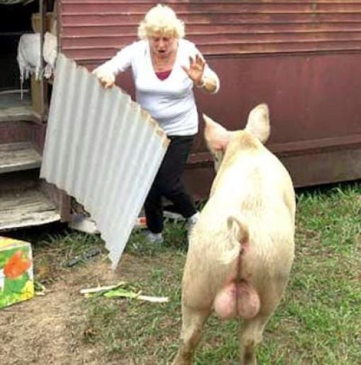 Daily picdump (127 pics)