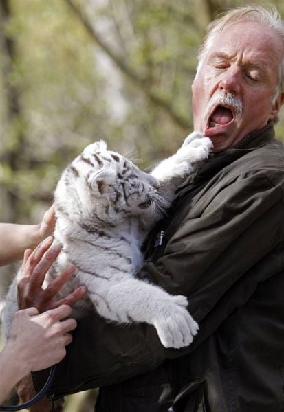 Daily picdump (127 pics)