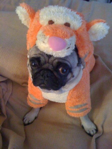 Daily picdump (127 pics)