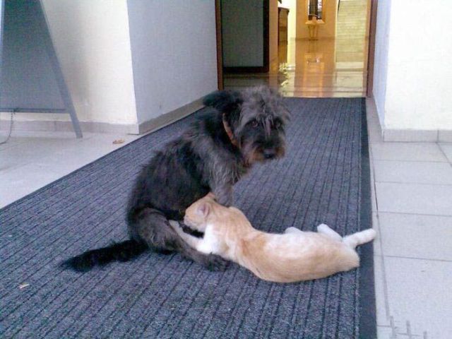 Daily picdump (127 pics)