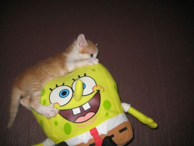 Daily picdump (127 pics)