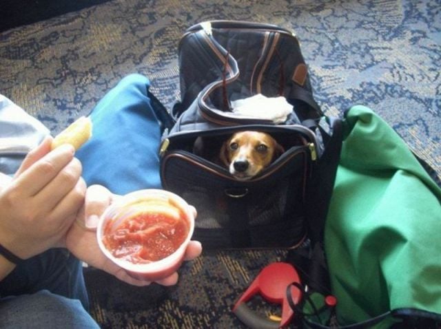 Daily picdump (127 pics)