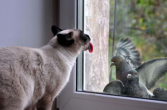 Daily picdump (133 pics)