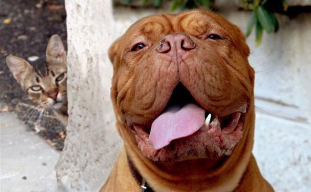 Daily picdump (133 pics)