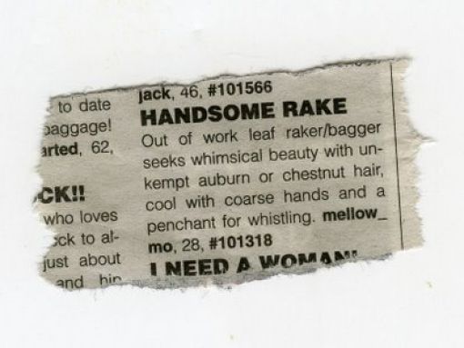 Funny Personal Ads (17 pics)
