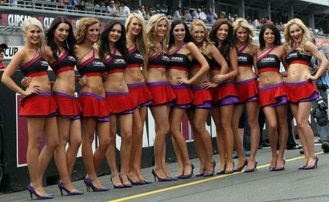 F-1 Sexy Pit Babes (57 pics)
