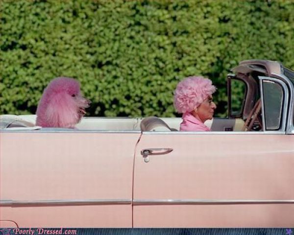 Examples of Anti-Fashion. Part 2 (72 pics)