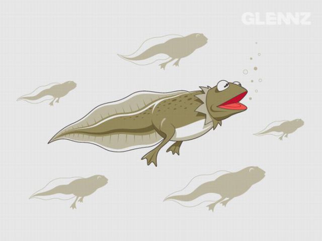 Awesome T-Shirt Designs (75 pics)