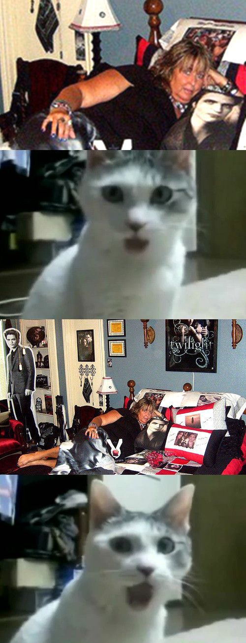 Twilight Fans with Creepy Twilight-Themed Bedrooms (28 pics) Twilight Fans with Creepy Twilight-Themed Bedrooms (28 pics)