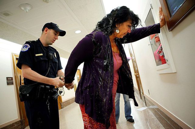 Daily picdump (152 pics)