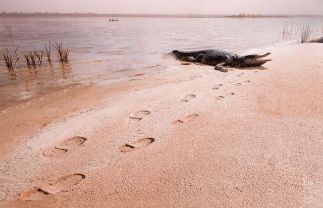 Daily picdump (152 pics)