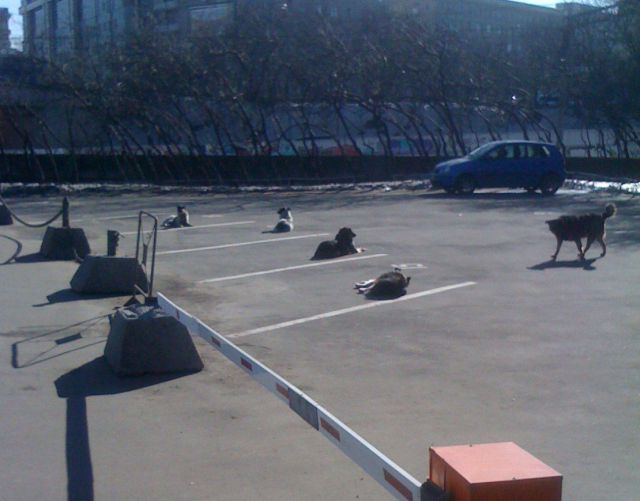 Daily picdump (152 pics)