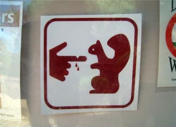 Daily picdump (152 pics)