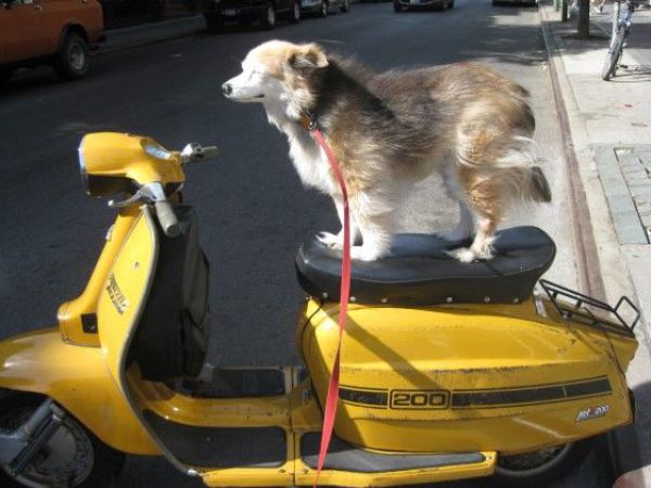 Daily picdump (152 pics)