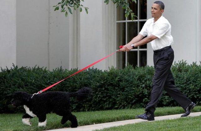 Daily picdump (152 pics)