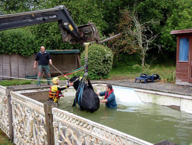 Daily picdump (152 pics)