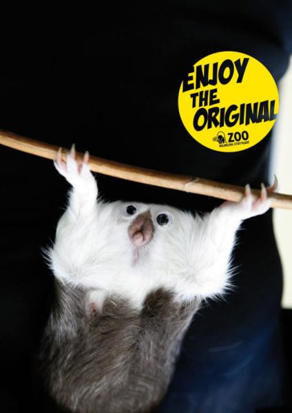 Great Creative Ad Prints (107 pics)