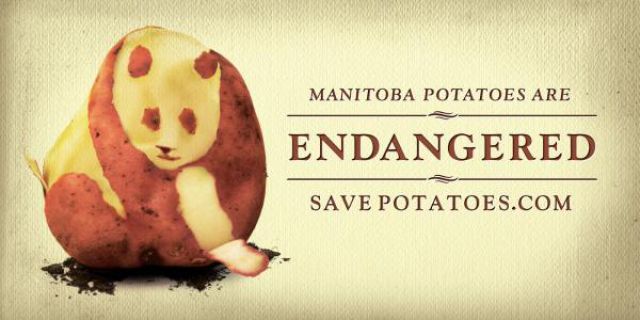 Great Creative Ad Prints (107 pics)