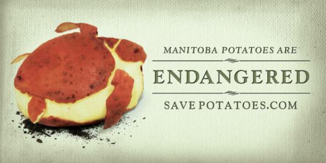 Great Creative Ad Prints (107 pics)