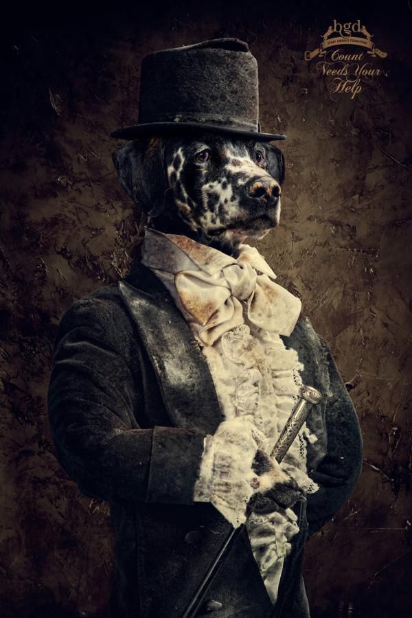 Great Creative Ad Prints (107 pics)