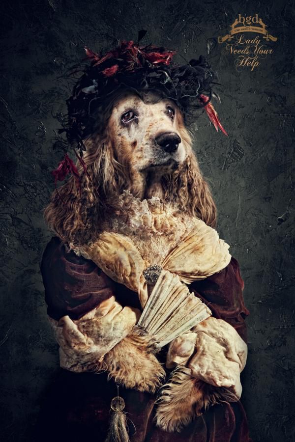 Great Creative Ad Prints (107 pics)