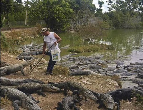 Funny ‘Oops’ Selection (43 pics) Funny ‘Oops’ Selection (43 pics)