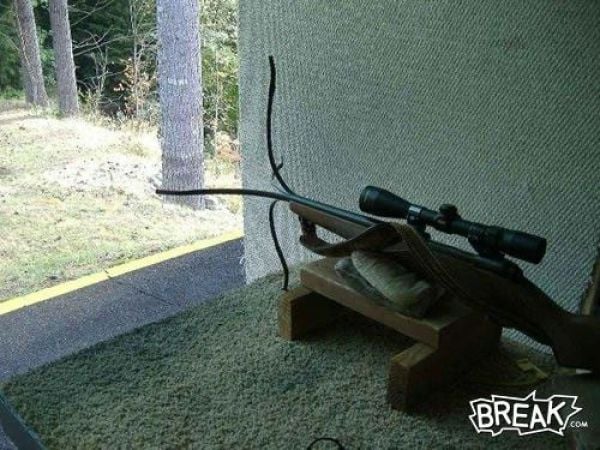 Funny ‘Oops’ Selection (43 pics) Funny ‘Oops’ Selection (43 pics)