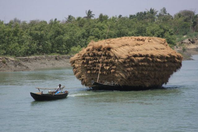 Daily picdump (128 pics)