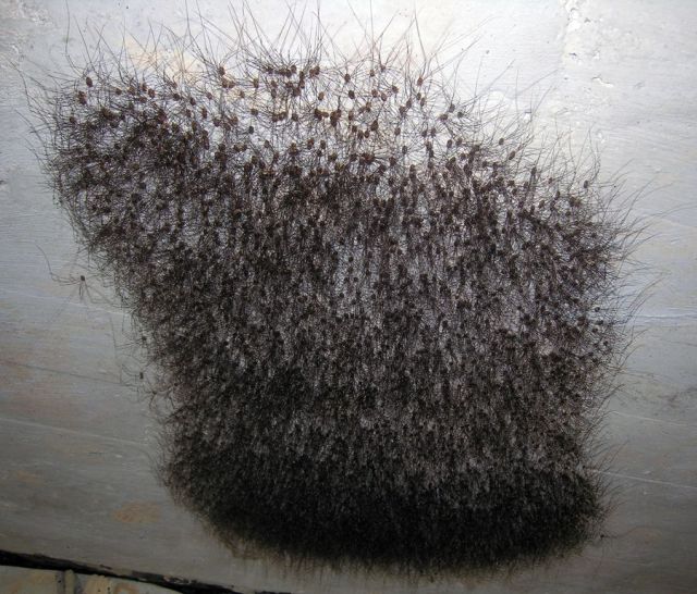 Daily picdump (128 pics)