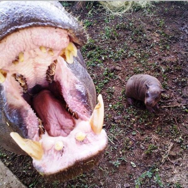 Daily picdump (128 pics)