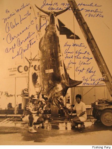 Fisherman’s Dream (31 pics) Fisherman’s Dream (31 pics)