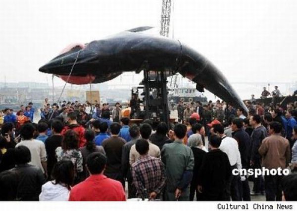 Fisherman’s Dream (31 pics) Fisherman’s Dream (31 pics)