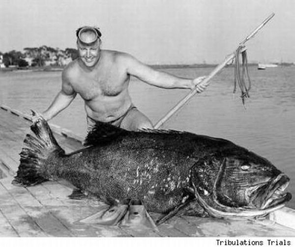 Fisherman’s Dream (31 pics) Fisherman’s Dream (31 pics)