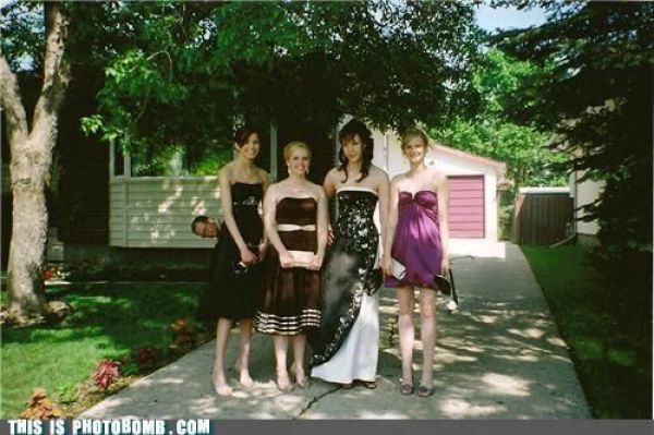 How to Spoil a Photo. Part 7 (48 pics) How to Spoil a Photo. Part 7 (48 pics)