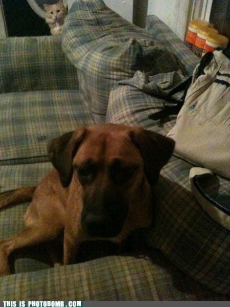 How to Spoil a Photo. Part 7 (48 pics) How to Spoil a Photo. Part 7 (48 pics)