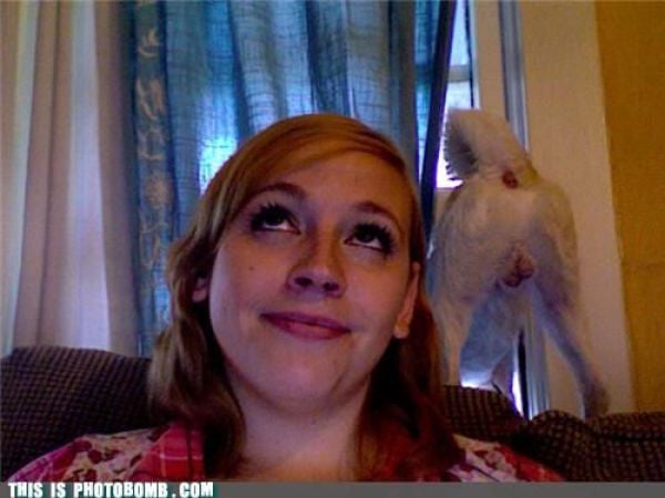 How to Spoil a Photo. Part 7 (48 pics) How to Spoil a Photo. Part 7 (48 pics)