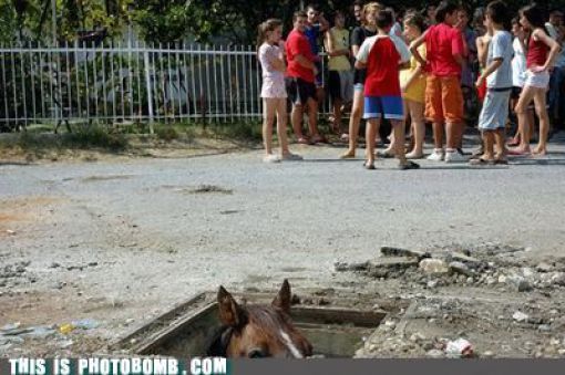 How to Spoil a Photo. Part 7 (48 pics) How to Spoil a Photo. Part 7 (48 pics)