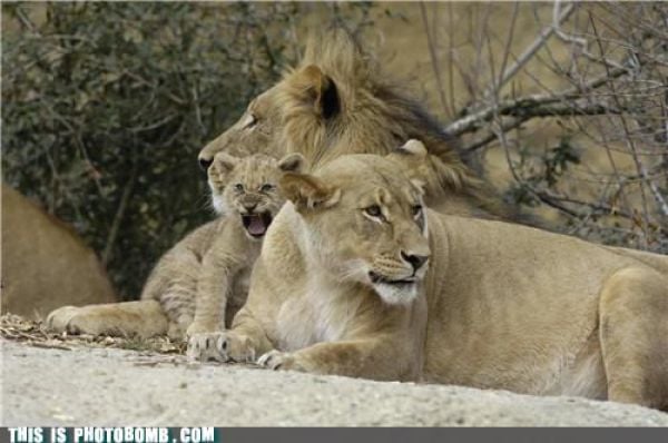 How to Spoil a Photo. Part 7 (48 pics) How to Spoil a Photo. Part 7 (48 pics)