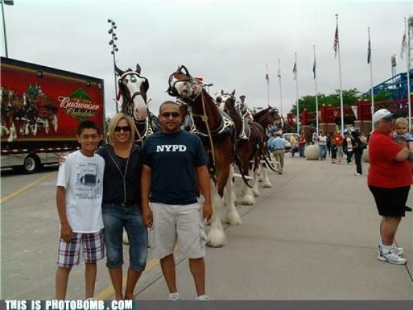 How to Spoil a Photo. Part 7 (48 pics) How to Spoil a Photo. Part 7 (48 pics)