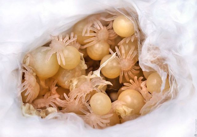 Daily picdump (124 pics)