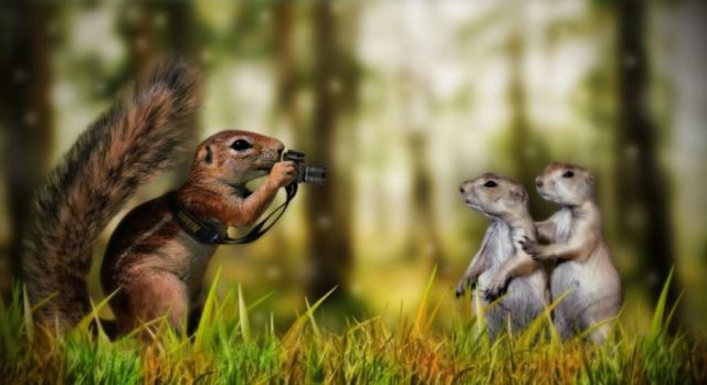 Daily picdump (124 pics)