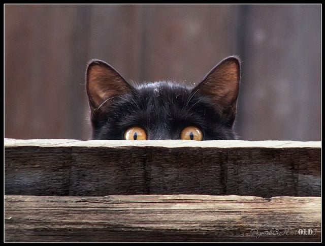 Daily picdump (124 pics)