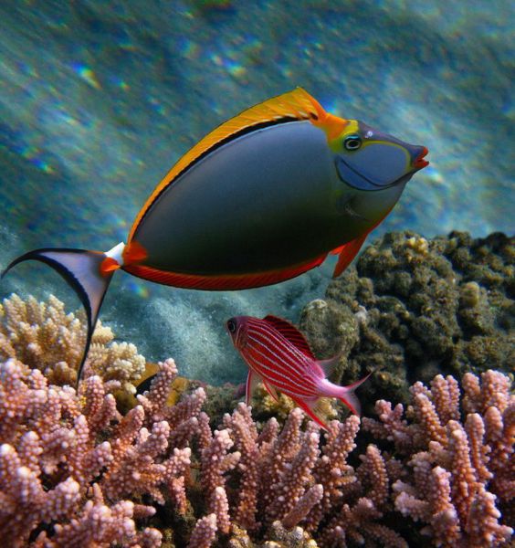 Daily picdump (124 pics)