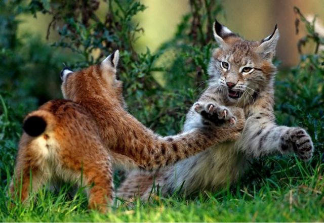 Daily picdump (124 pics)