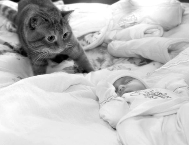 Daily picdump (124 pics)