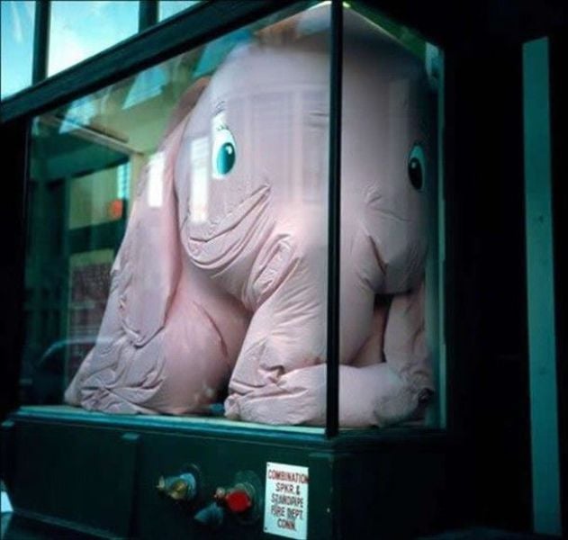 Daily picdump (124 pics)