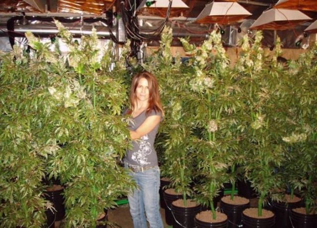 Daily picdump (124 pics)