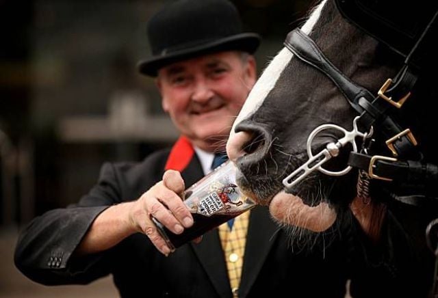 Daily picdump (124 pics)