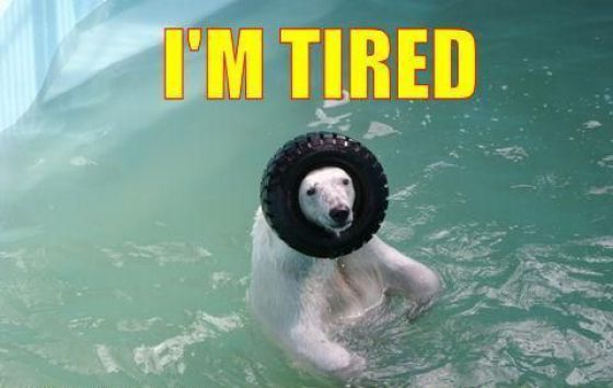 Daily picdump (124 pics)