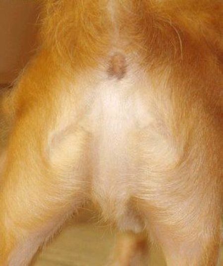 Daily picdump (124 pics)